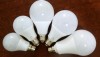 LED Bulb Bundle Offer
